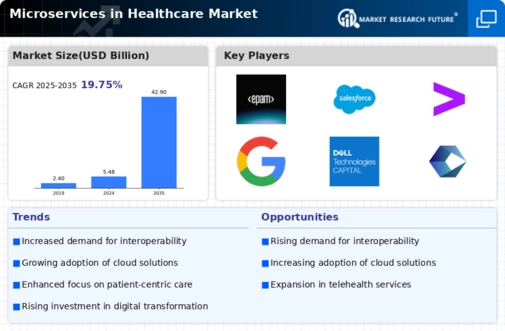 Microservices Healthcare Market Infographic