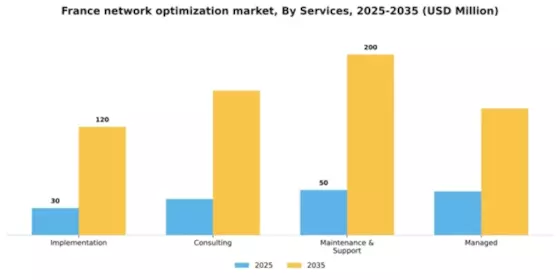 France Network Optimization Services Market Segment Image 1