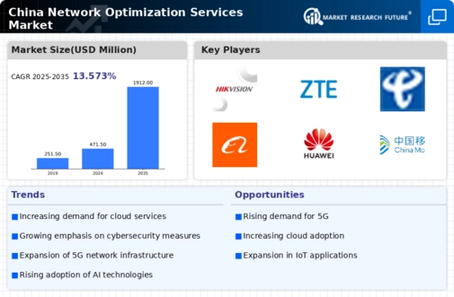 China Network Optimization Services Market Infographic