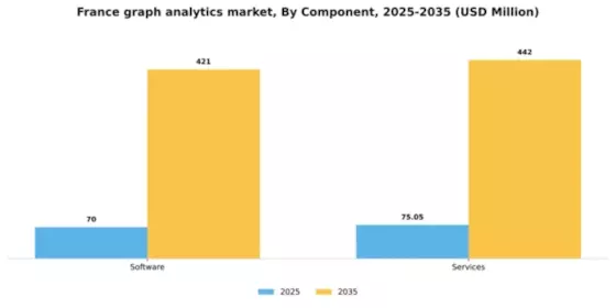 France Graph Analytics Market Segment Image 1
