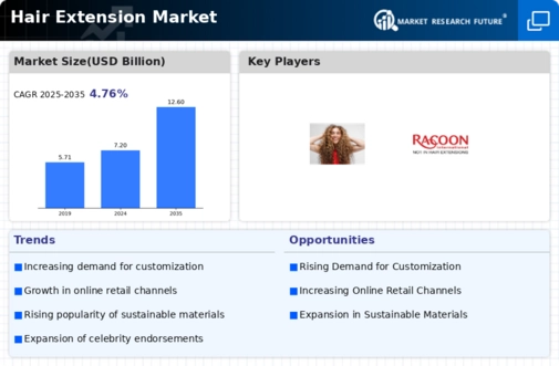 Hair Extension Market Infographic
