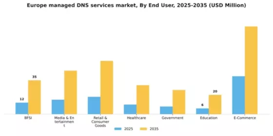 Europe Managed DNS Services Market Segment Image 0