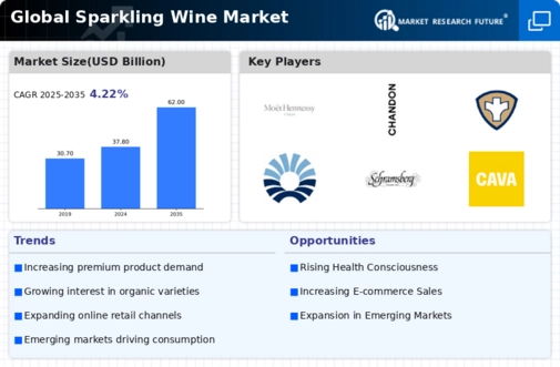 Sparkling Wine Market Infographic
