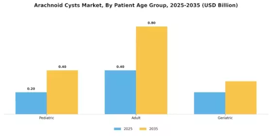 Arachnoid Cysts Market Segment Image 1