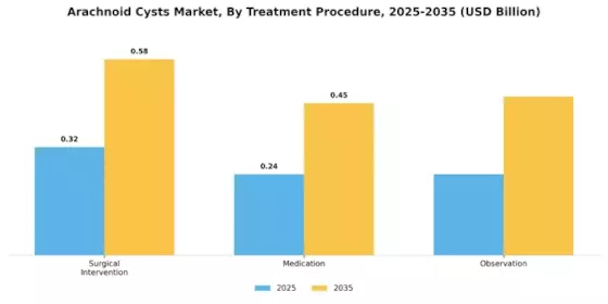 Arachnoid Cysts Market Segment Image 2