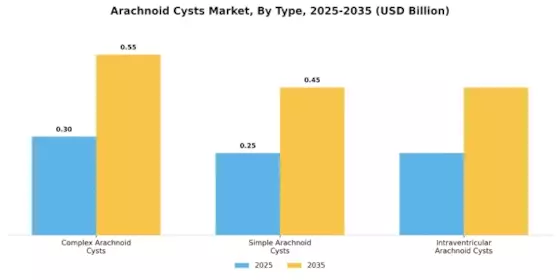 Arachnoid Cysts Market Segment Image 3