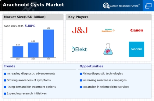 Arachnoid Cysts Market Infographic