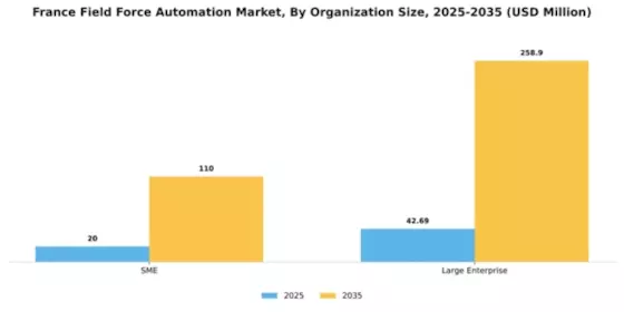 France Field Force Automation Market Segment Image 3