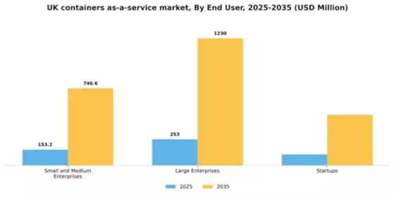 UK Containers As A Service Market Segment Image 1