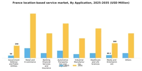 France Location Based Service Market Segment Image 0