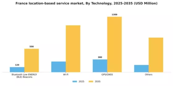 France Location Based Service Market Segment Image 3
