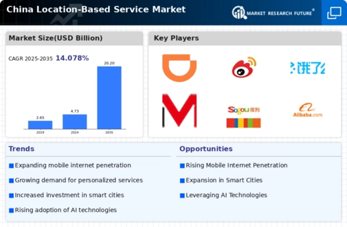 China Location Based Service Market Infographic