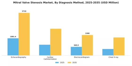 Mitral Valve Stenosis Market Segment Image 0