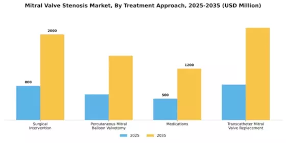 Mitral Valve Stenosis Market Segment Image 2