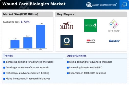 Wound Care Biologics Market Infographic