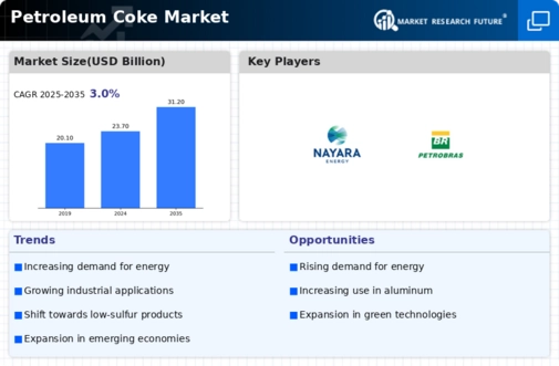 Petroleum Coke Market Infographic