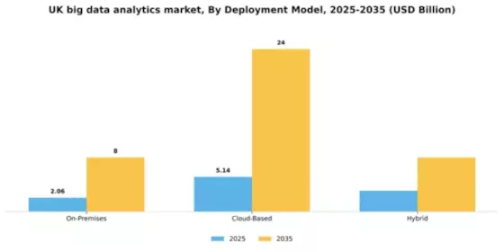UK Big Data Analytics Market Segment Image 0