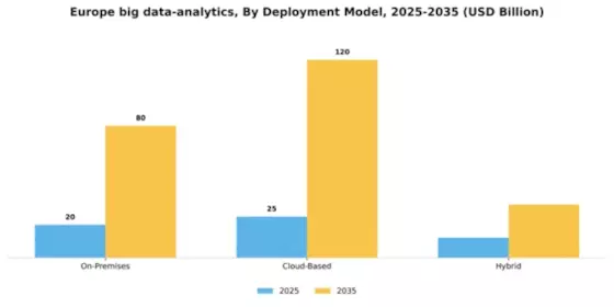 Europe Big Data Analytics Market Segment Image 0