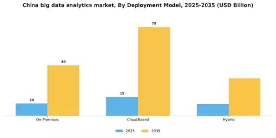 China Big Data Analytics Market Segment Image 0