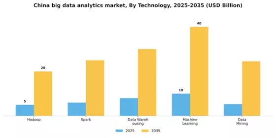 China Big Data Analytics Market Segment Image 2