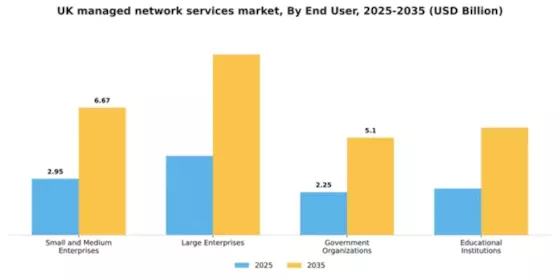 UK Managed Network Services Market Segment Image 1