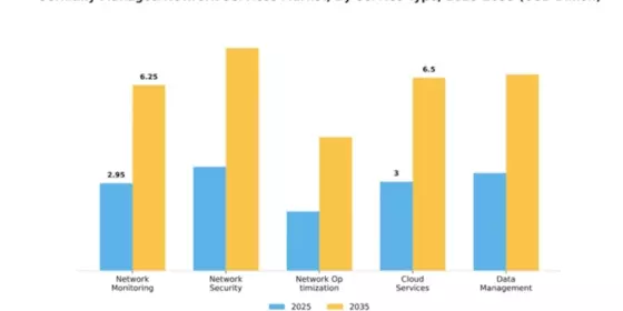 Germany Managed Network Services Market Segment Image 3