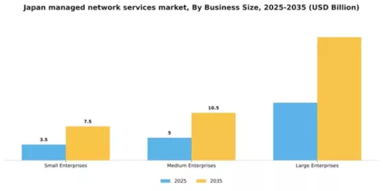 Japan Managed Network Services Market Segment Image 0