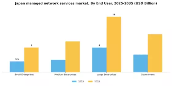 Japan Managed Network Services Market Segment Image 1