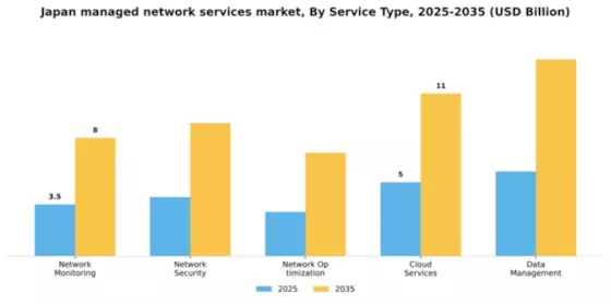 Japan Managed Network Services Market Segment Image 3