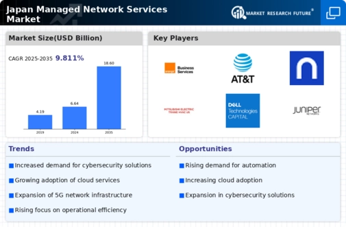 Japan Managed Network Services Market Infographic