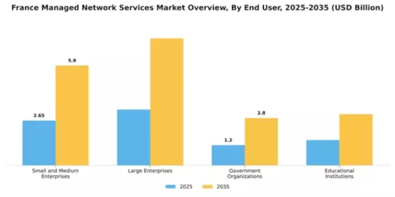 France Managed Network Services Market Segment Image 1