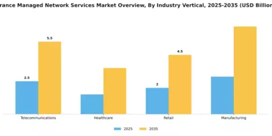 France Managed Network Services Market Segment Image 2