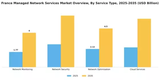 France Managed Network Services Market Segment Image 3