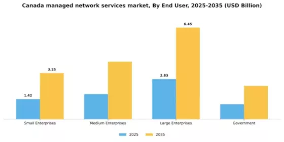 Canada Managed Network Services Market Segment Image 1