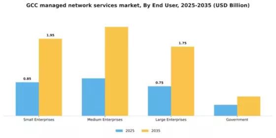 GCC Managed Network Services Market Segment Image 1
