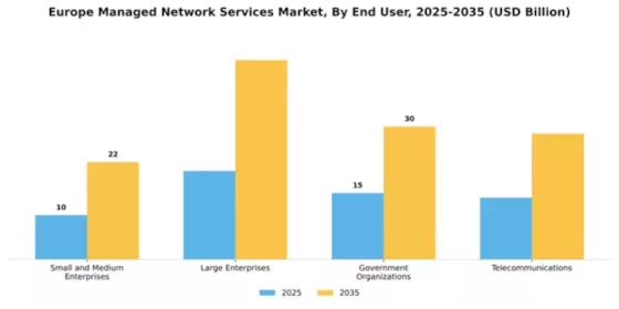 Europe Managed Network Services Market Segment Image 1
