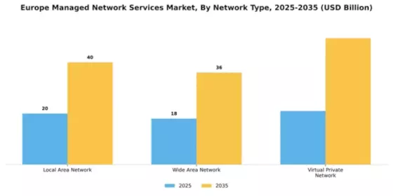 Europe Managed Network Services Market Segment Image 2