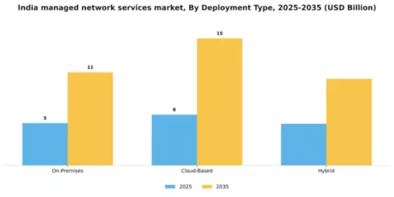 India Managed Network Services Market Segment Image 0