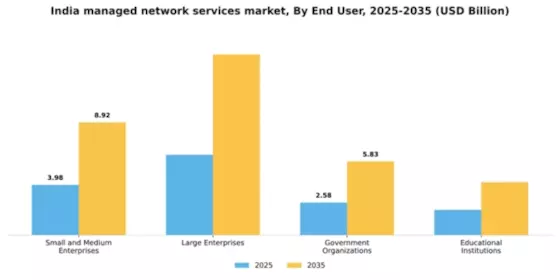 India Managed Network Services Market Segment Image 1