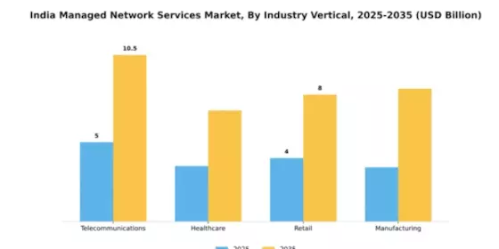 India Managed Network Services Market Segment Image 2