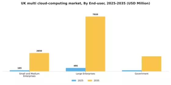 UK Multi Cloud Computing Market Segment Image 2