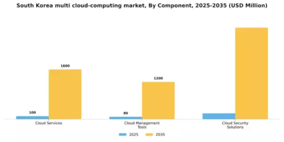 South Korea Multi Cloud Computing Market Segment Image 0