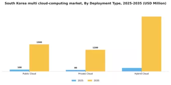 South Korea Multi Cloud Computing Market Segment Image 1