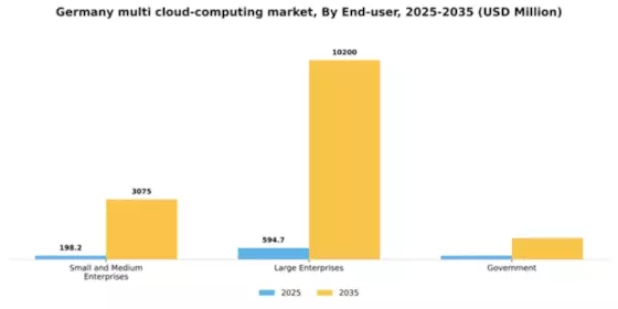 Germany Multi Cloud Computing Market Segment Image 2