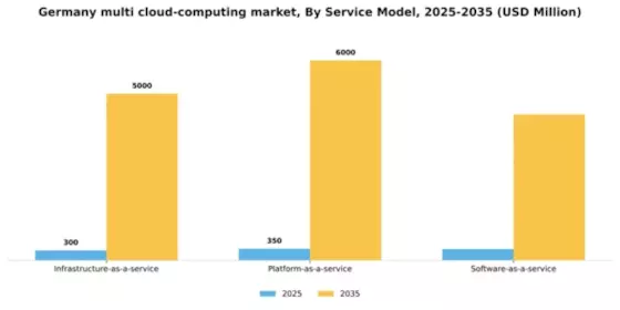 Germany Multi Cloud Computing Market Segment Image 3