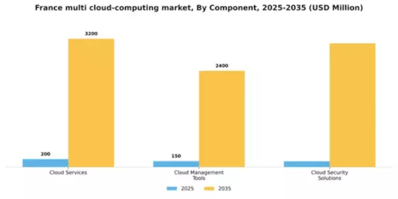 France Multi Cloud Computing Market Segment Image 0