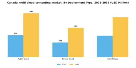Canada Multi Cloud Computing Market Segment Image 1