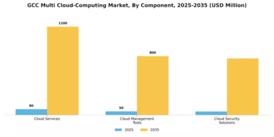 GCC Multi Cloud Computing Market Segment Image 0