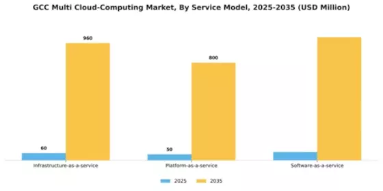 GCC Multi Cloud Computing Market Segment Image 3