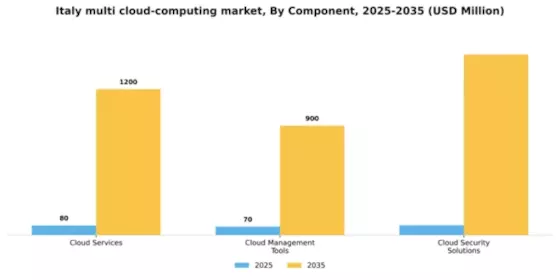 Italy Multi Cloud Computing Market Segment Image 0
